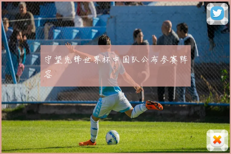 守望先锋世界杯中国队公布参赛阵容