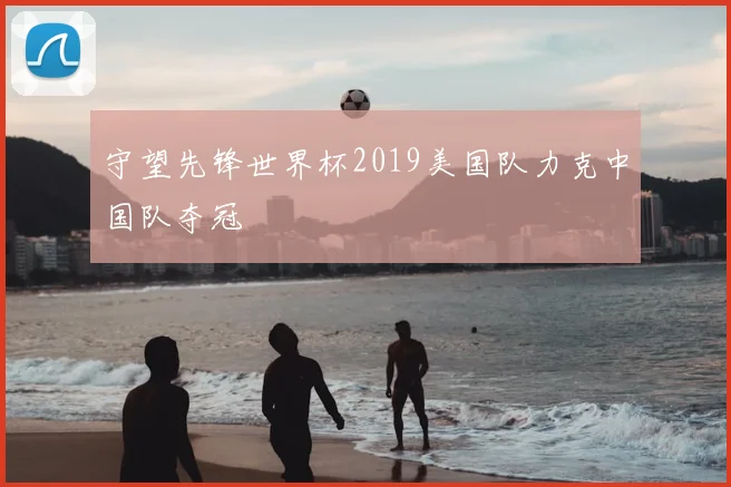守望先锋世界杯2019美国队力克中国队夺冠
