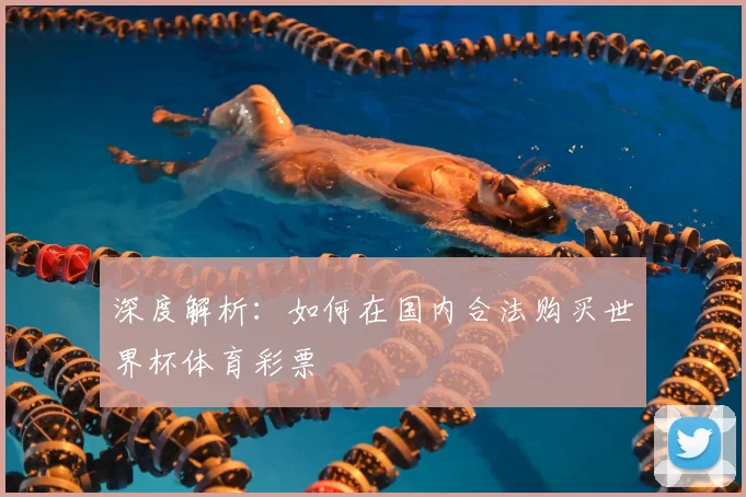 深度解析:如何在国内合法购买世界杯体育彩票