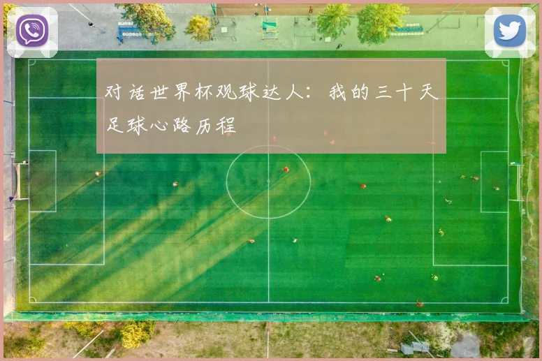 对话世界杯观球达人:我的三十天足球心路历程