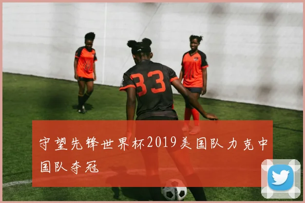 守望先锋世界杯2019美国队力克中国队夺冠