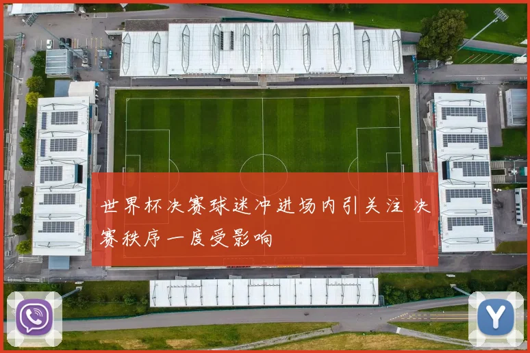 世界杯决赛球迷冲进场内引关注 决赛秩序一度受影响