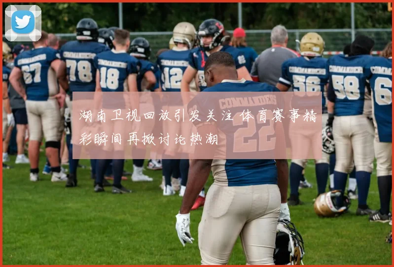 湖南卫视回放引发关注 体育赛事精彩瞬间再掀讨论热潮
