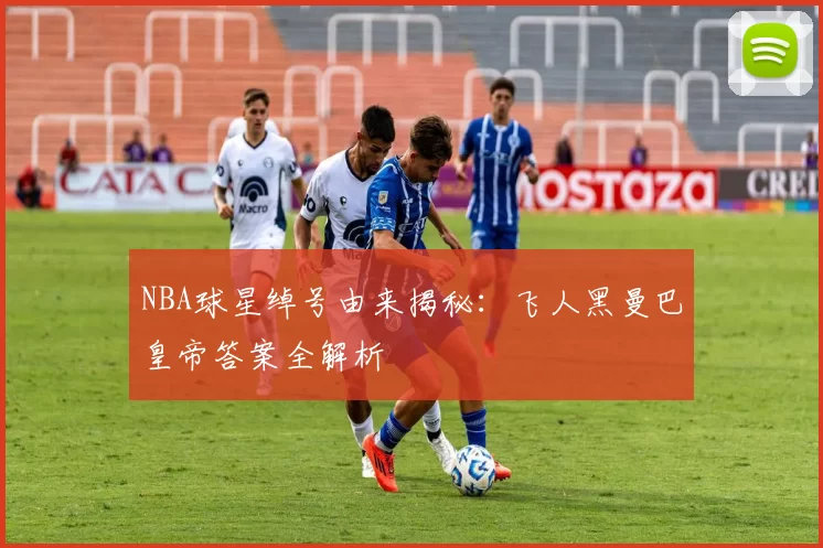 NBA球星绰号由来揭秘：飞人黑曼巴皇帝答案全解析